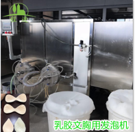 乳胶文胸生产线准备试运行